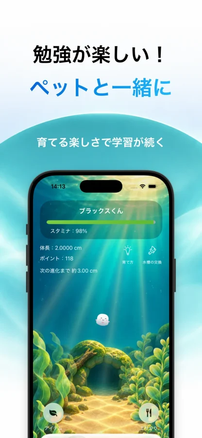 Blax 中学社会：ペット育成